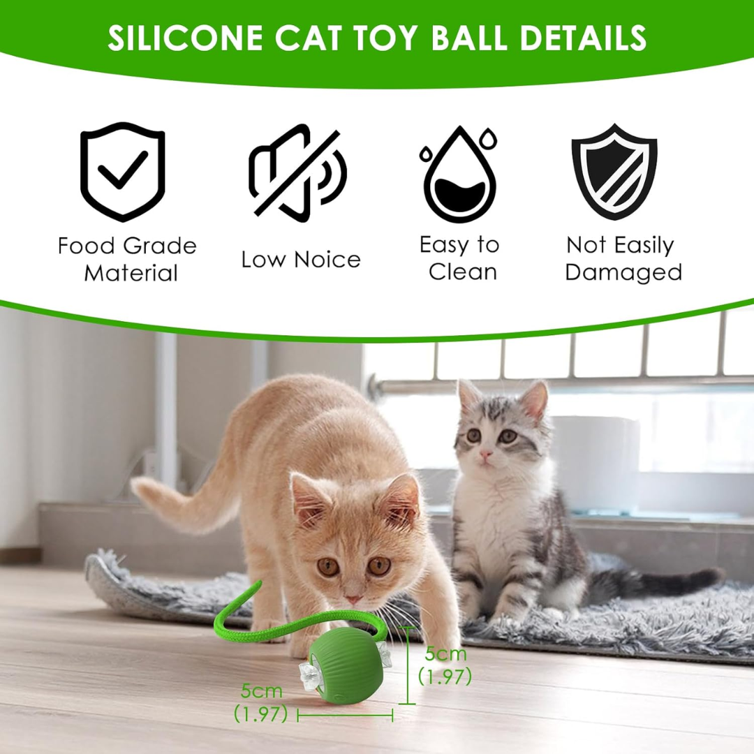 MewMent Ball