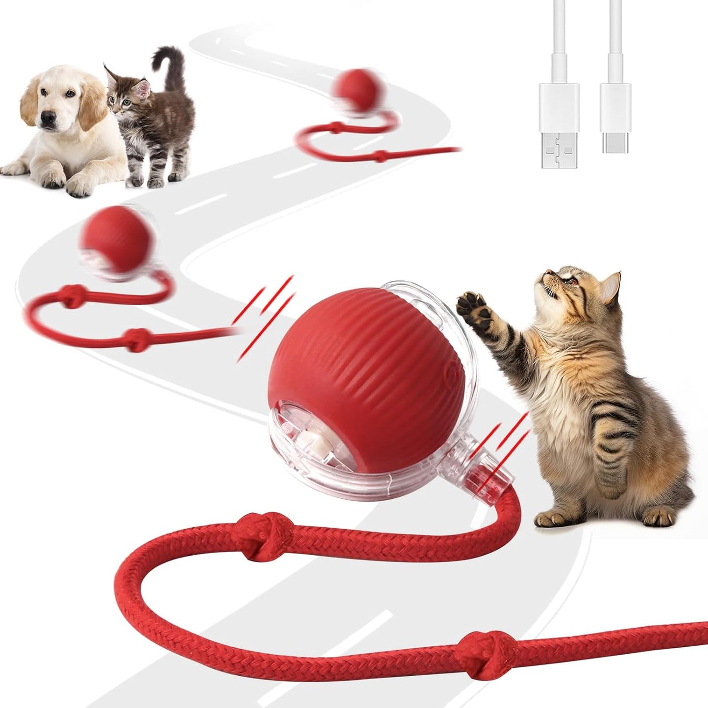 MewMent Ball